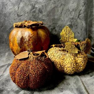 Pumpkin Bundle! 🎃🍁🍂🍃